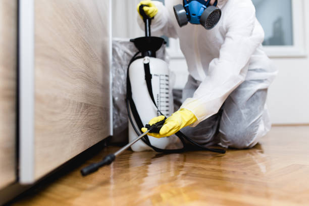Best Insect Control  in Chester, IL