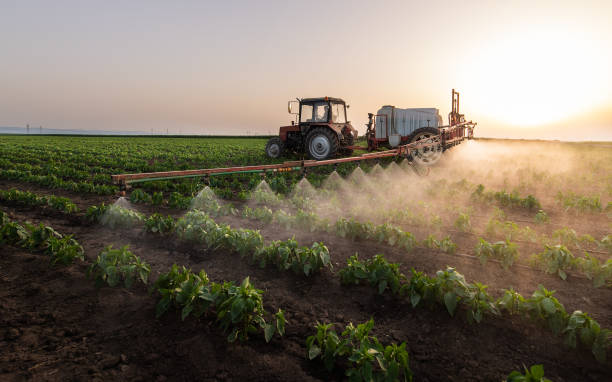 Best Pest Prevention Services  in Chester, IL