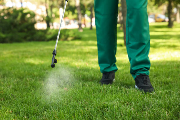 Best Flea Control Services  in Chester, IL