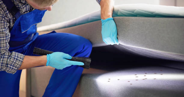 Reliable Chester, IL Pest Control Solutions
