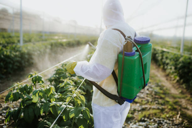 Best Termite Control Services  in Chester, IL